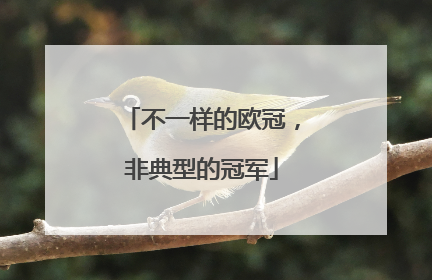 不一样的欧冠，非典型的冠军