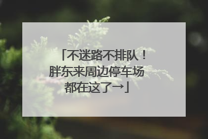 不迷路不排队！胖东来周边停车场都在这了→