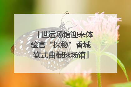 世运场馆迎来体验官“探秘”香城软式曲棍球场馆