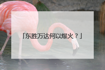 东胜万达何以爆火？