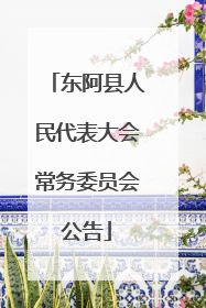 东阿县人民代表大会常务委员会公告