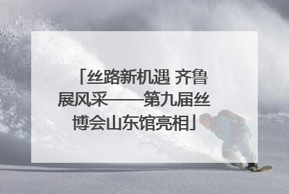 丝路新机遇 齐鲁展风采——第九届丝博会山东馆亮相