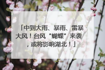 中到大雨、暴雨、雷暴大风！台风“蝴蝶”来袭，或将影响湖北！