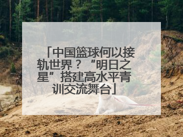 中国篮球何以接轨世界？“明日之星”搭建高水平青训交流舞台