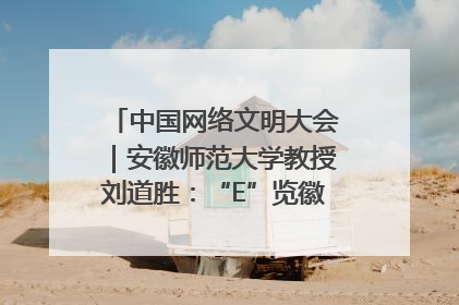 中国网络文明大会｜安徽师范大学教授刘道胜：“E”览徽风，构筑中华民族共有精神家园
