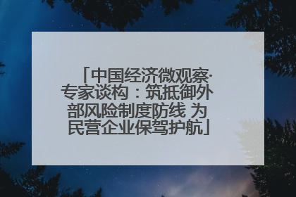 中国经济微观察·专家谈构：筑抵御外部风险制度防线 为民营企业保驾护航