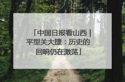 中国日报看山西｜平型关大捷：历史的回响仍在激荡