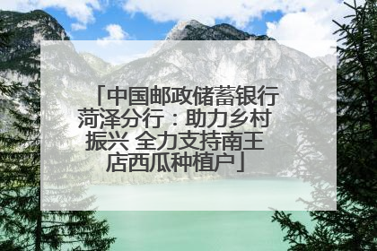 中国邮政储蓄银行菏泽分行：助力乡村振兴 全力支持南王店西瓜种植户