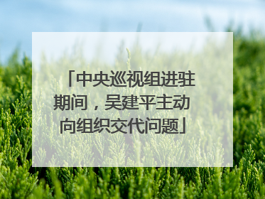 中央巡视组进驻期间，吴建平主动向组织交代问题