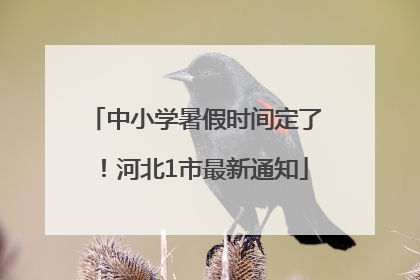 中小学暑假时间定了！河北1市最新通知