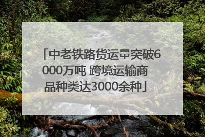 中老铁路货运量突破6000万吨 跨境运输商品种类达3000余种