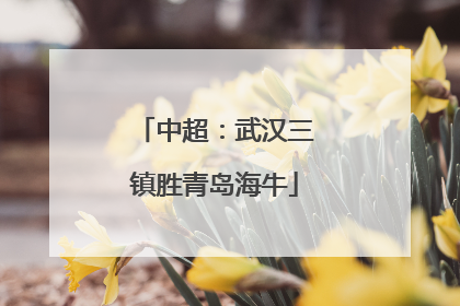 中超：武汉三镇胜青岛海牛