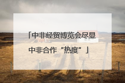 中非经贸博览会尽显中非合作“热度”