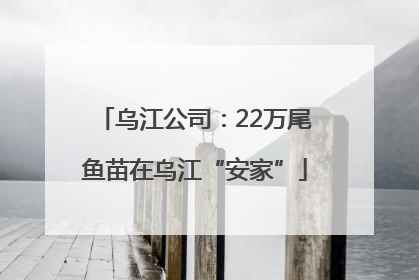 乌江公司：22万尾鱼苗在乌江“安家”