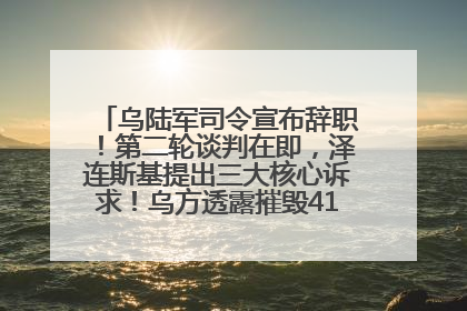 乌陆军司令宣布辞职！第二轮谈判在即，泽连斯基提出三大核心诉求！乌方透露摧毁41架俄战略轰炸机