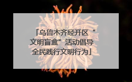 乌鲁木齐经开区“文明盲盒”活动倡导全民践行文明行为