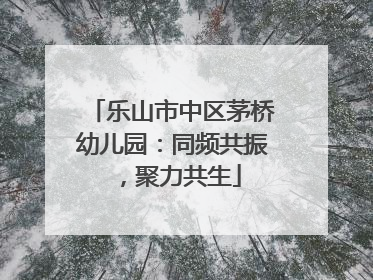 乐山市中区茅桥幼儿园：同频共振，聚力共生
