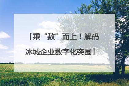 乘“数”而上！解码冰城企业数字化突围