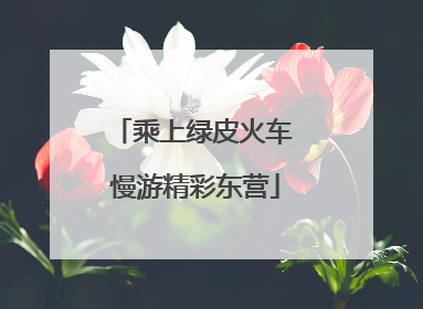 乘上绿皮火车 慢游精彩东营