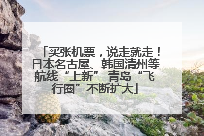 买张机票，说走就走！日本名古屋、韩国清州等航线“上新” 青岛“飞行圈”不断扩大