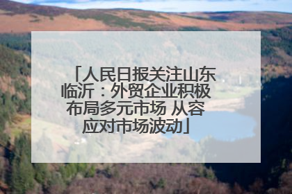 人民日报关注山东临沂：外贸企业积极布局多元市场 从容应对市场波动