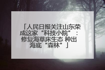 人民日报关注山东荣成这家“科技小院”：修复海草床生态 种出海底“森林”