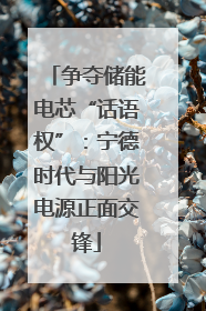 争夺储能电芯“话语权”：宁德时代与阳光电源正面交锋