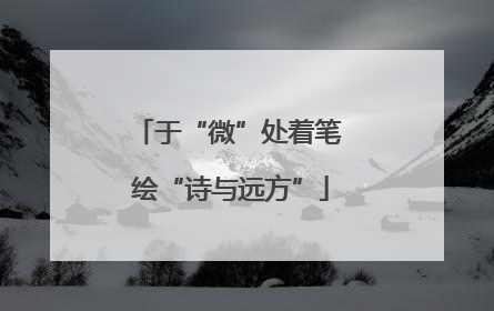 于“微”处着笔 绘“诗与远方”