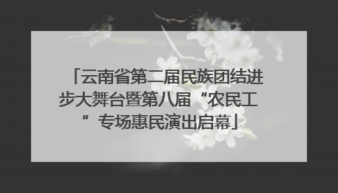 云南省第二届民族团结进步大舞台暨第八届“农民工”专场惠民演出启幕