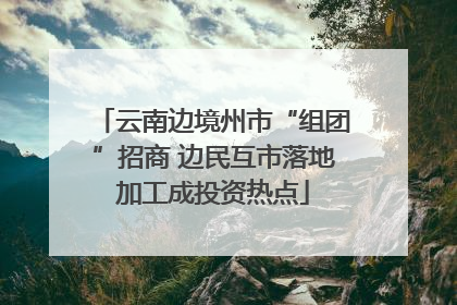 云南边境州市“组团”招商 边民互市落地加工成投资热点