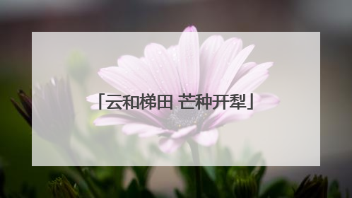 云和梯田 芒种开犁