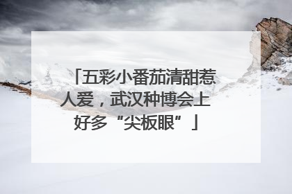 五彩小番茄清甜惹人爱，武汉种博会上好多“尖板眼”