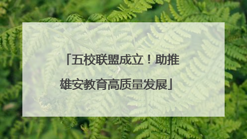 五校联盟成立！助推雄安教育高质量发展