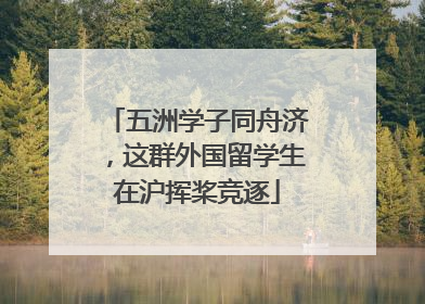 五洲学子同舟济，这群外国留学生在沪挥桨竞逐