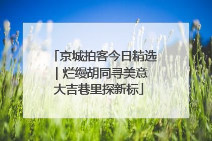 京城拍客今日精选｜烂缦胡同寻美意 大吉巷里探新标