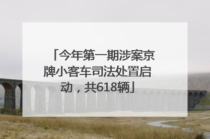 今年第一期涉案京牌小客车司法处置启动，共618辆