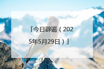 今日辟谣（2025年5月29日）