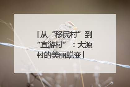 从“移民村”到“宜游村”：大源村的美丽蜕变