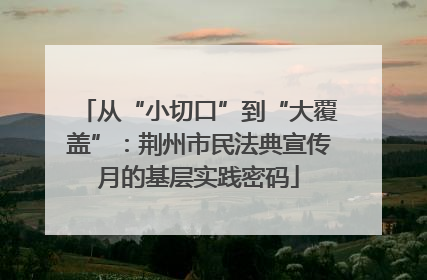 从“小切口”到“大覆盖”：荆州市民法典宣传月的基层实践密码