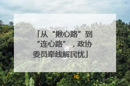 从“揪心路”到“连心路”，政协委员牵线解民忧