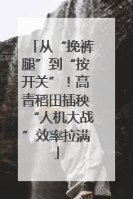 从“挽裤腿”到“按开关”！高青稻田插秧“人机大战”效率拉满