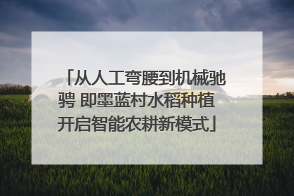 从人工弯腰到机械驰骋 即墨蓝村水稻种植开启智能农耕新模式