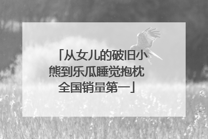 从女儿的破旧小熊到乐瓜睡觉抱枕全国销量第一