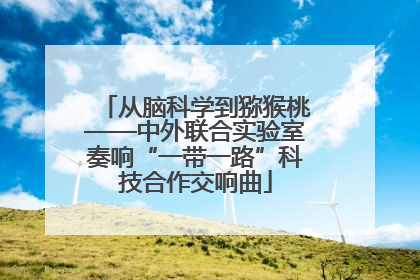 从脑科学到猕猴桃——中外联合实验室奏响“一带一路”科技合作交响曲