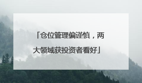 仓位管理偏谨慎，两大领域获投资者看好