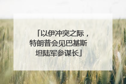 以伊冲突之际，特朗普会见巴基斯坦陆军参谋长