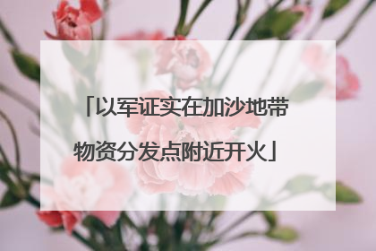 以军证实在加沙地带物资分发点附近开火