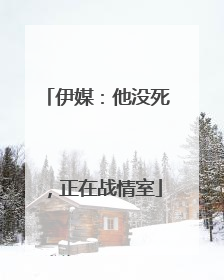 伊媒：他没死，正在战情室