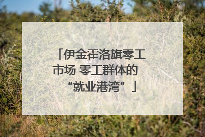 伊金霍洛旗零工市场 零工群体的“就业港湾”