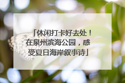 休闲打卡好去处！在泉州滨海公园，感受夏日海岸叙事诗